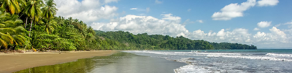 Playa Ballena