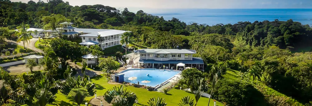 Vista aérea del Hotel Cristal Ballena sobre el bosque y el océano