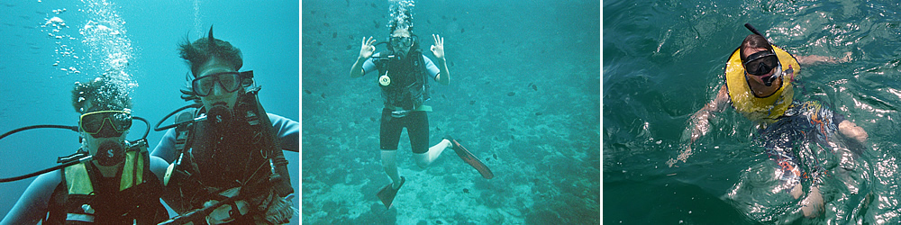 Snorkel en Marino Ballena